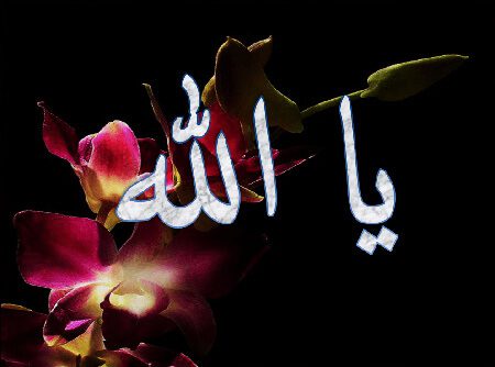 طریقه ختم ذکر یا الله, الله